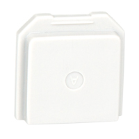 BW Gas Detector Dummy Sensor for Toxic Location R.M.G. Prévention