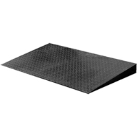 VN Series Economical Floor Scales - Ramp R.M.G. Prévention