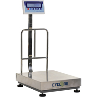 Cyclone 300 Bench and Platform Scale, 600 lbs. / 300 kg Capacity, 17-3/4" L x 23-3/5" W R.M.G. Prévention