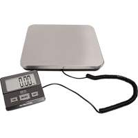Balance de r&eacute;ception num&eacute;rique, Capacit&eacute; 220 lb, Graduations 1 lb R.M.G. Prévention