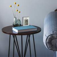 Indoor/Outdoor Wireless Thermometer, Non-Contact, Analogue, 31-158°F (-35-70°C) R.M.G. Prévention