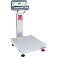 Defender 5000 Multi-Functional Bench Scale, 25  lbs. Capacity, 14" L x 12" W R.M.G. Prévention