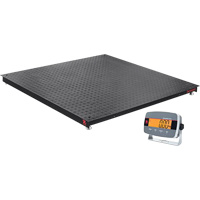 Defender 3000 Floor Scale, 5000 lbs. Capacity, 4' L x 4' W R.M.G. Prévention