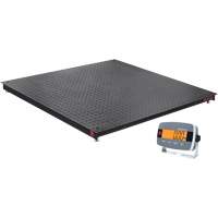 Balance de plancher DEFENDER 3000, Capacit&eacute; de 2500 lb, 48" la x 48" lo R.M.G. Prévention