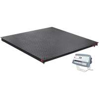 Balance de plancher DEFENDER 5000, Capacit&eacute; de 2500 lb, 48" la x 48" lo R.M.G. Prévention