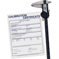 Digital Caliper with Traceable Certificate, 0.0005" (0.01 mm) Resolution, 0" - 12" (0 mm - 300 mm) Range R.M.G. Prévention