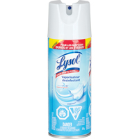 Disinfectant Spray, 350 g, Aerosol Can R.M.G. Prévention