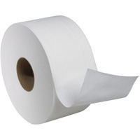 Rouleau de papier hygi&eacute;nique Advanced Soft Mini, Rouleau G&eacute;ant, 2 Pli, Longueur 751', Blanc R.M.G. Prévention