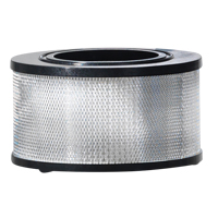 Wet/Dry Vacuum Filter, Hepa, Fits 8 - 11 US gal. R.M.G. Prévention