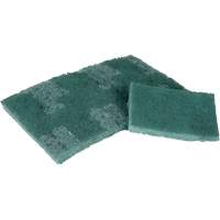 Scrubber Pad, 3" L x 4-1/2" W R.M.G. Prévention