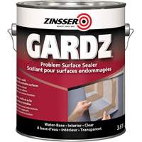 Gardz&reg; Problem Surface Sealer, 916 ml, Can, Clear R.M.G. Prévention