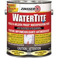 Watertite&reg; Mold & Mildew-Proof Waterproofing Paint, White, Eggshell, 3.78 L, Gallon R.M.G. Prévention