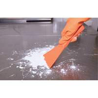 Large Hand Scraper, Pink, 4" W x 10" L R.M.G. Prévention