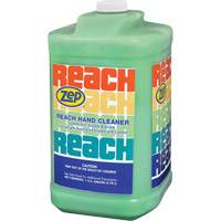 Reach Extra Heavy-Duty Hand Cleaner, Pumice, 3.78 L, Jug, Scented R.M.G. Prévention