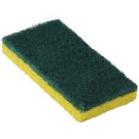 745 Medium-Duty Scouring Sponges, 6-1/4" L x 3-3/16" W R.M.G. Prévention