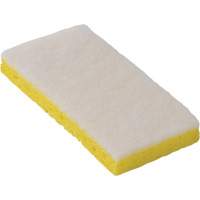 745W Light-Duty Scouring Sponges, 6-1/4" L x 3-1/5" W R.M.G. Prévention