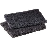 Tampon de polissage pour plaque de cuisson Scotch-Brite, 4" lo x 5" la R.M.G. Prévention