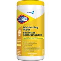 Disinfecting Wipes, 75 Count R.M.G. Prévention