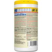 Disinfecting Wipes, 75 Count R.M.G. Prévention