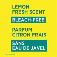 Disinfecting Wipes, 75 Count R.M.G. Prévention