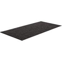 Tapis d'intérieur