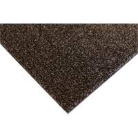 Tapis dint&eacute;rieur Palliser, Essuie-pieds/grattoir, 6-1/2' x 82' x 5/16", Anglis R.M.G. Prévention