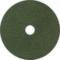 Tapis de sol Black Diamond 3000, 8", Nettoyage/Polissage, Vert R.M.G. Prévention