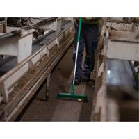 Push Broom Head, Fine/Stiff Bristles, 16-1/2", Polyester/Polypropylene, Green R.M.G. Prévention