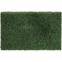 Disposable Thinline Scrubbing Pad, Scrubbing/Stripping, Green R.M.G. Prévention