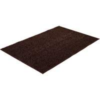 Tapis grattoir Astro-Turf R.M.G. Prévention