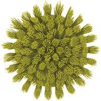 HyDrive Round Drill Brush, Extra Stiff Bristles, 3-1/10" Long, Yellow R.M.G. Prévention
