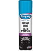 Pro Line Instant Shine for Plastic Surfaces, 11 oz., Aerosol Can R.M.G. Prévention