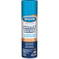 Pro Line Crazy Clean&reg; All Purpose Cleaner, 19 oz., Aerosol Can R.M.G. Prévention