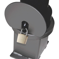 Bornes d&eacute;coratives amovibles, Acier, 40" h x 4-1/2" la, Noir R.M.G. Prévention