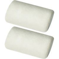 Professional Roller Sleeves, 6 mm (1/4") Nap, 101.6 mm (4") L R.M.G. Prévention