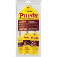 XL Paint Brush Multi-Pack, Poly/Nylon, Wood Handle R.M.G. Prévention