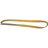 Polyester Slings, Single Ply, Endless, Type 5, 1" W x 3' L, 3200 lbs. Vertical Cap. R.M.G. Prévention