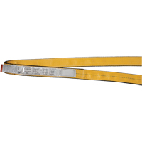Polyester Slings, Single Ply, Endless, Type 5, 1" W x 3' L, 3200 lbs. Vertical Cap. R.M.G. Prévention