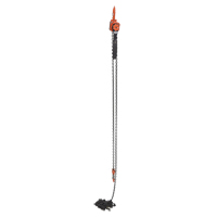 Mini Lever Hoist, 20' Lift, 1000 lbs. (0.5 tons) Capacity, Steel Chain R.M.G. Prévention