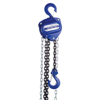 Chain Hoist, 10' Lift, 2000 lbs. (1 tons) Capacity, Load Chain Grade 80 Chain R.M.G. Prévention
