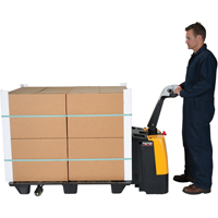 Fully Powered Electric Pallet Truck, 3000 lbs. Cap., 47" L x 25" W R.M.G. Prévention