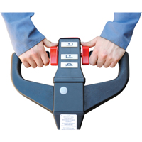 Fully Powered Electric Pallet Truck, 4500 lbs. Cap., 48" L x 30.25" W R.M.G. Prévention