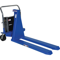 Electric Skid Lift, Steel, 2500 lbs. Capacity R.M.G. Prévention