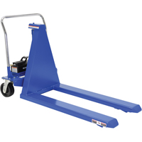 Electric Skid Lift, Steel, 2500 lbs. Capacity R.M.G. Prévention
