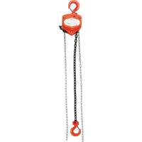 Chain Hoist, 20' Lift, 1000 lbs. (0.45 tons) Capacity, Alloy Steel Chain R.M.G. Prévention