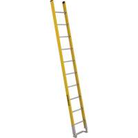 Single Section Straight Ladder - 6100 Series, 10', Fibreglass, 375 lbs., CSA Grade 1AA R.M.G. Prévention