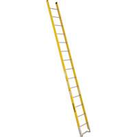 Single Section Straight Ladder - 6100 Series, 14', Fibreglass, 375 lbs., CSA Grade 1AA R.M.G. Prévention