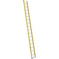 Single Section Straight Ladder - 6100 Series, 16', Fibreglass, 375 lbs., CSA Grade 1AA R.M.G. Prévention