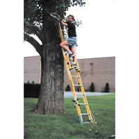 Industrial Heavy-Duty Extension Ladders (6200 Series), 375 lbs. Cap., 13' H, Grade 1AA R.M.G. Prévention