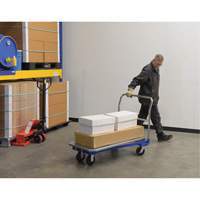 Platform Cart, 48" L x 24" W, 1500 lbs. Capacity, Mold-on Rubber Casters R.M.G. Prévention